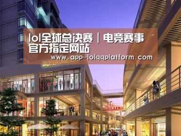 案例展示一(图1)