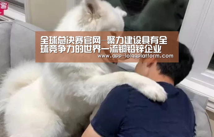 全球总决赛官网-聚力建设具有全球竞争力的世界一流铜铅锌企业 ——中国共产党中国铜业第一次代表大会胜利召开(图1) 英雄联盟世界赛