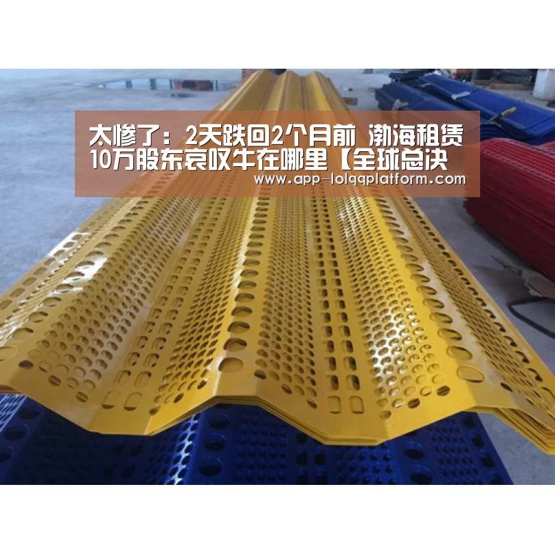 太惨了:2天跌回2个月前 渤海租赁10万股东哀叹牛在哪里【全球总决赛官网】(图2) 英雄联盟世界赛