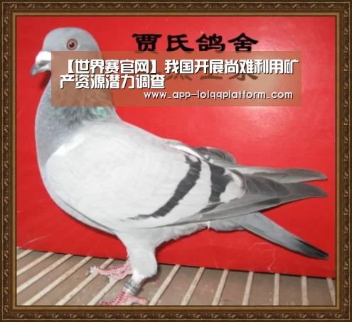 【世界赛官网】我国开展尚难利用矿产资源潜力调查(图2) 英雄联盟世界赛