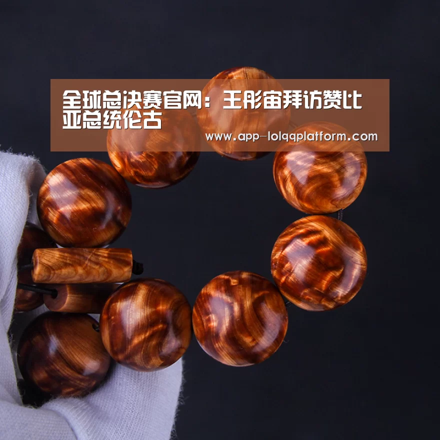 全球总决赛官网:王彤宙拜访赞比亚总统伦古(图1) 英雄联盟世界赛