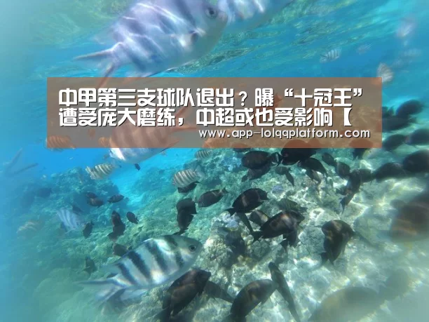 中甲第三支球队退出?曝“十冠王”遭受庞大磨练,中超或也受影响【世界赛官网】(图1) 全球总决赛官网